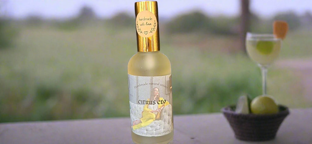 Citrus CEO Room Spray | 3.8 oz | Margarita & Lemongrass Fragrance | HNA Candle Boutique