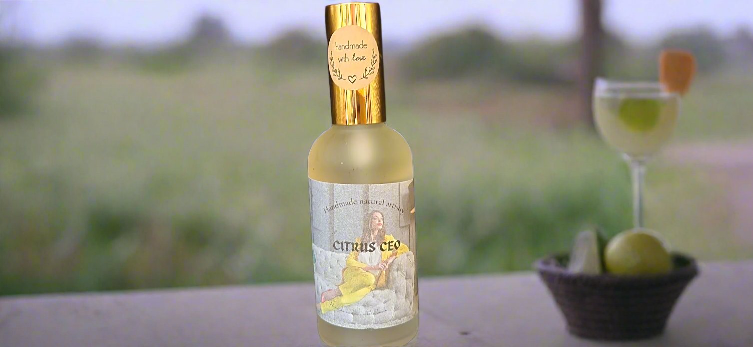 Citrus CEO Room Spray | 3.8 oz | Margarita & Lemongrass Fragrance | HNA Candle Boutique