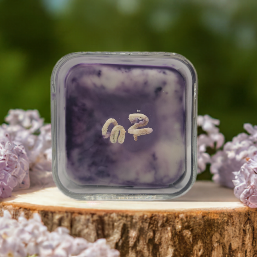 Lilac Scented Candle - Aromatherapy Gift for Mom & Girlfriend