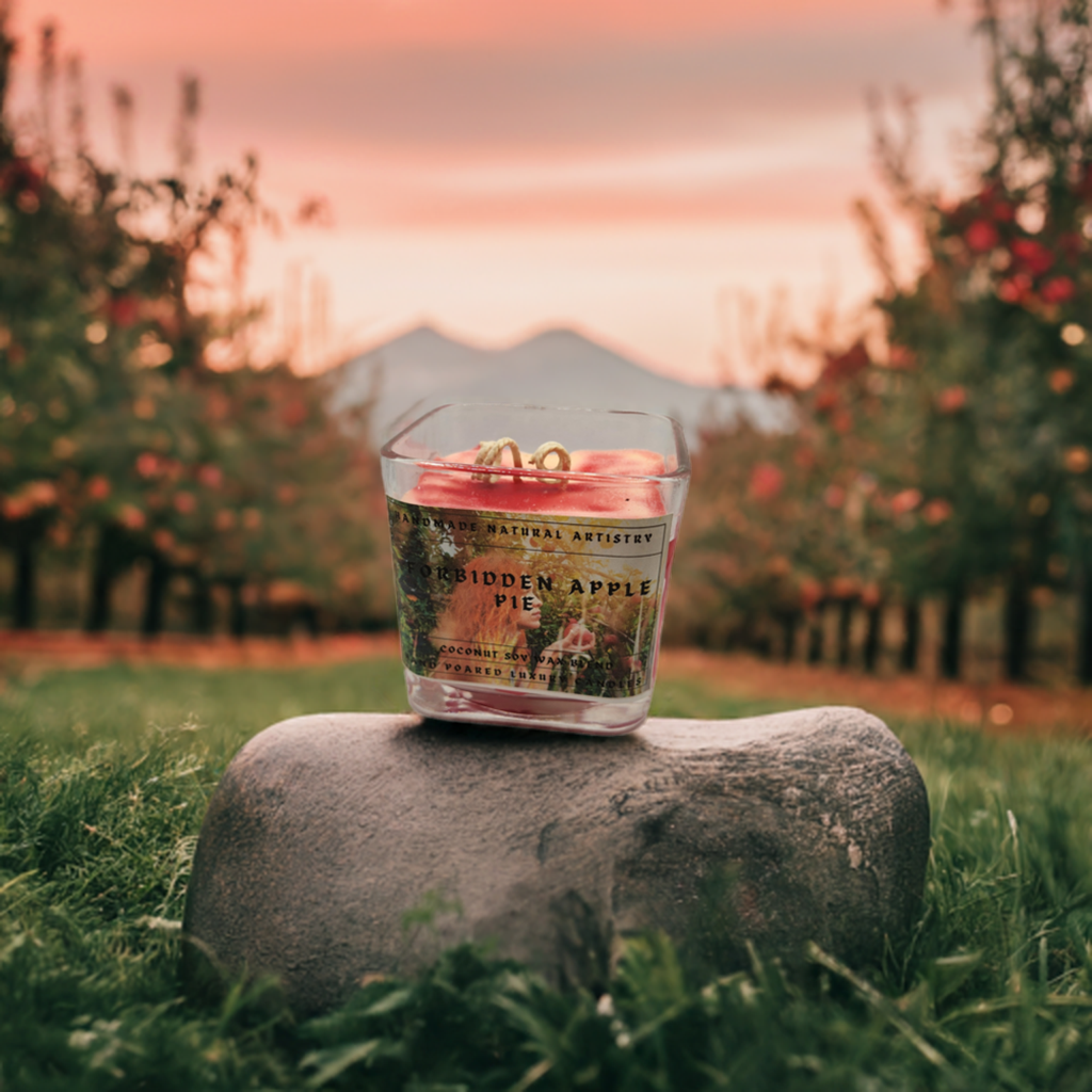 Bakery Candle apple pie 2 wick candle for wife southern vibes candle bakery scented candle  Forbidden apple pie 11 lux cube candle