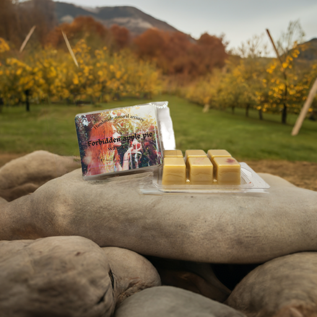 Forbidden apple pie wax melt  | 2.5 oz | Southern apple pie Scent | HNA Candle Boutique