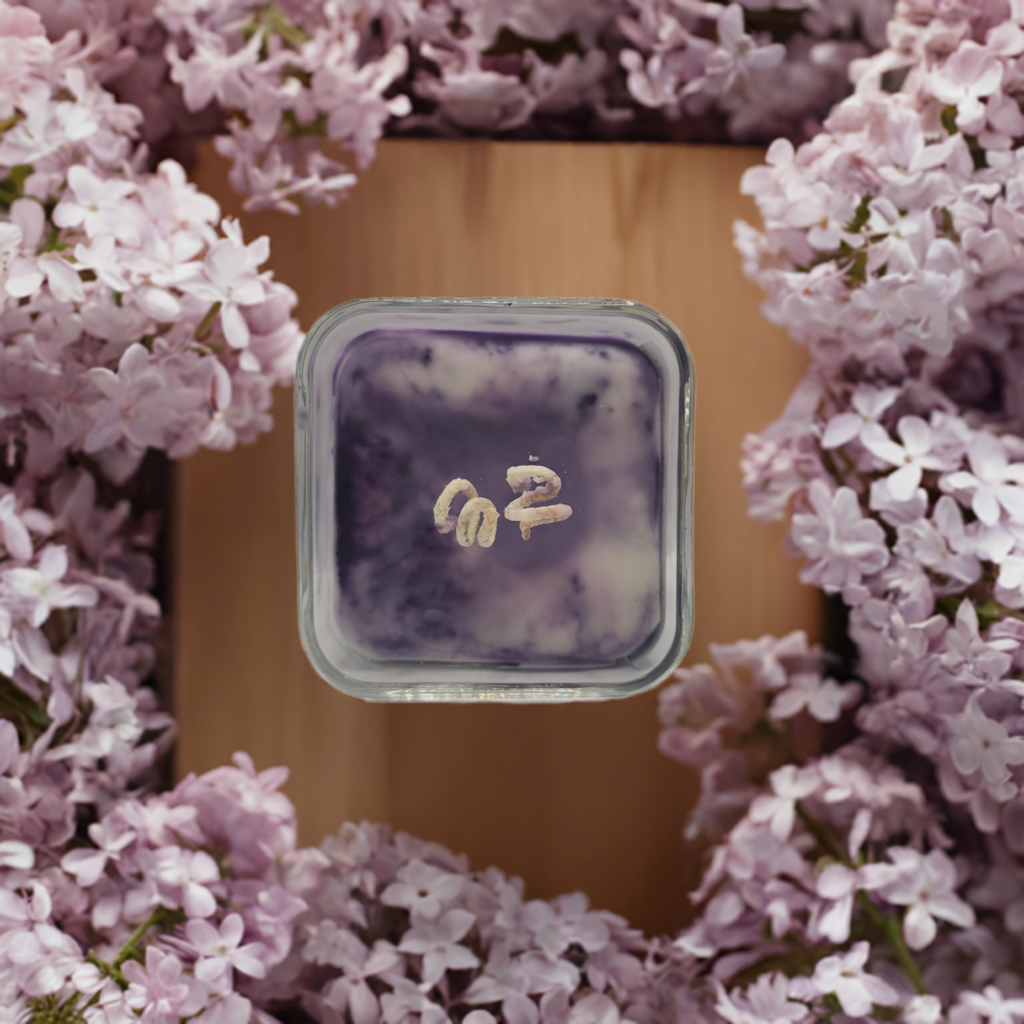 Lilac Scented Candle - Aromatherapy Gift for Mom & Girlfriend